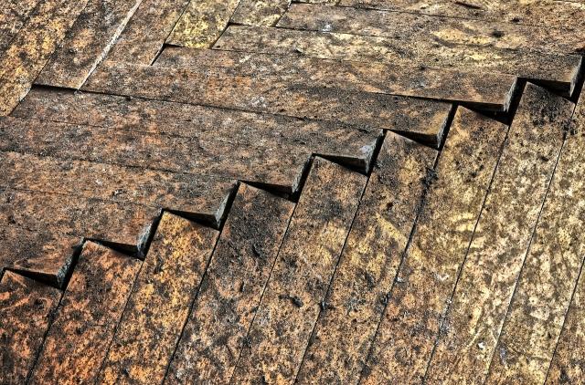 Coping with Water Damage Risks in Aging Urban Properties: An Insight